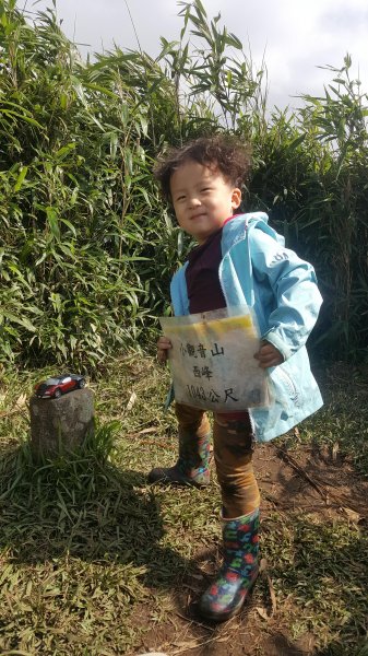 阿興阿賢小觀音山562679
