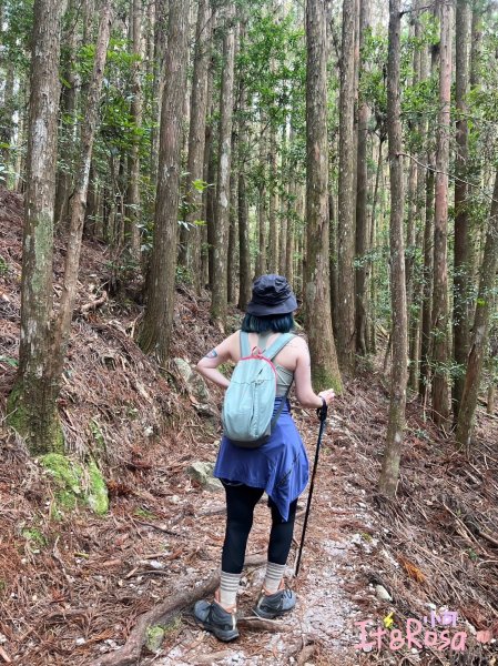 馬崙山-谷關七雄 中級山2337123