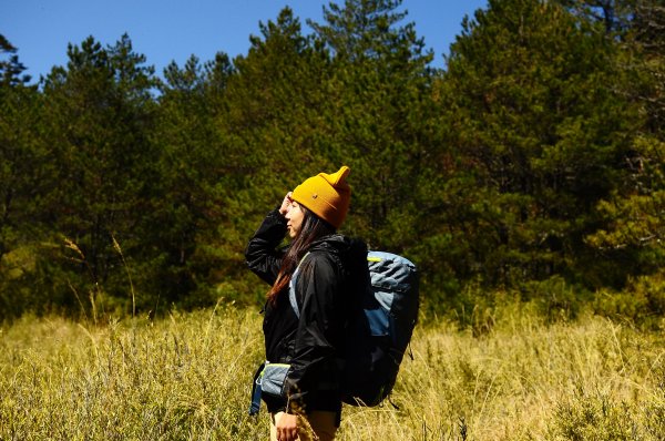 武法奈尾山天巒池872479