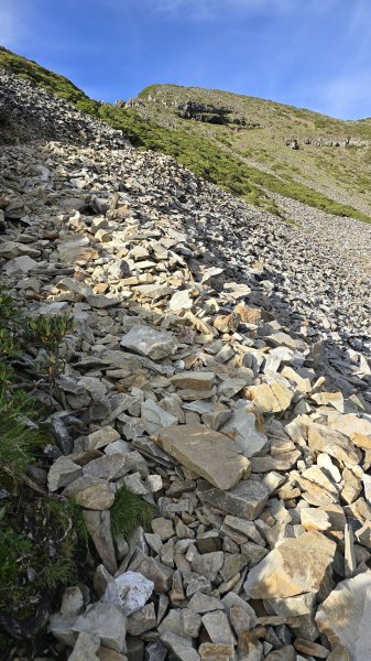 20250622 一日單攻雪主2919323