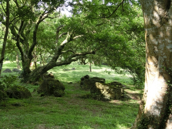 紗帽山．前山公園93882