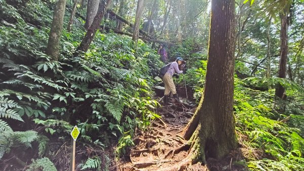 油羅山202503092731890