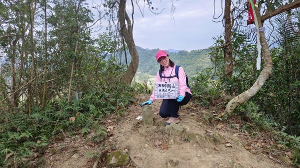 (姨婆趴趴走)第四十六集:新竹關西赤柯山及南峰、東西獅頭山、馬福山環狀縱走2685799