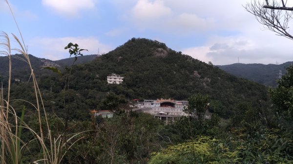 鯉魚山+忠勇山+大崙頭尾山+圓覺寺步道519527