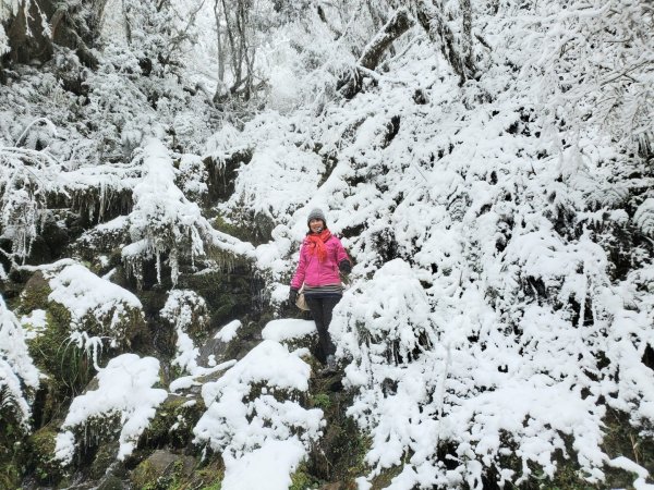 110年1月8日太平山賞雪1233681