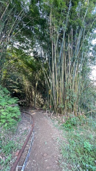 銀河洞越嶺貓空-新高麗坑山-銀獅縱走-猴山岳群峰+三條魚縱走2998273