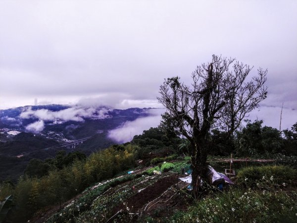 古厝巡禮～猴山岳、草厝、炮子崙瀑布O走1112796