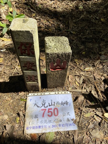 卓蘭鎮第一高峰大克山-白布帆登山口、B線進A線出1662743