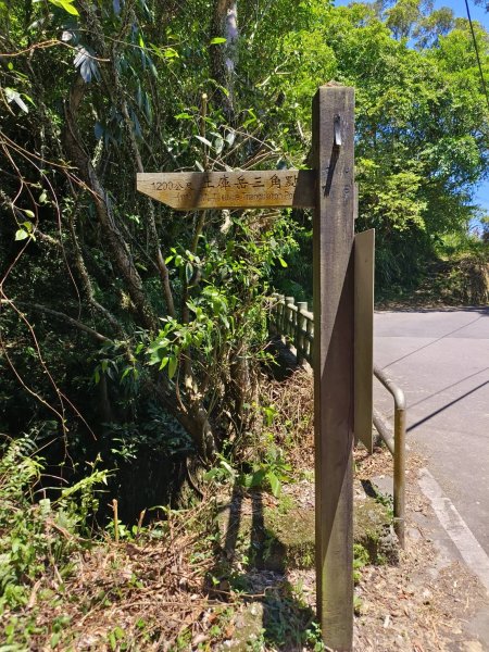 新北市-土庫岳3112163