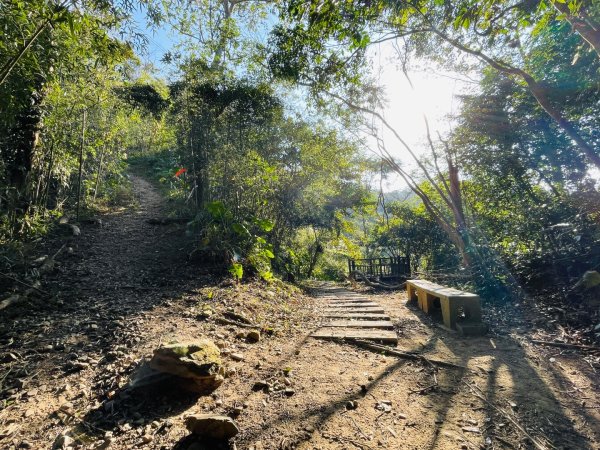 1141207金童山2957723