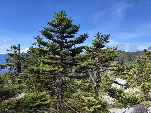 北一段(09/14)南湖東南峰 2025_0906~132887063