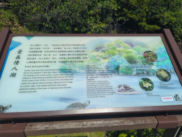 2025.09.13－情人湖步道&大武崙山2885817