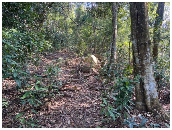 巴幸山、打鐵坑山、稍來坑山、和平14基石連走3018110