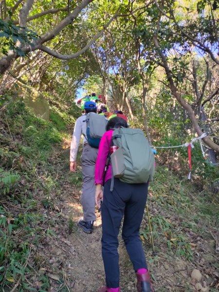 ［三角埔頂山賞芒+連走七山（迴龍尖山+三角埔頂山+三福山+青龍嶺+尖棟山+大同山+樹林山）］2358057