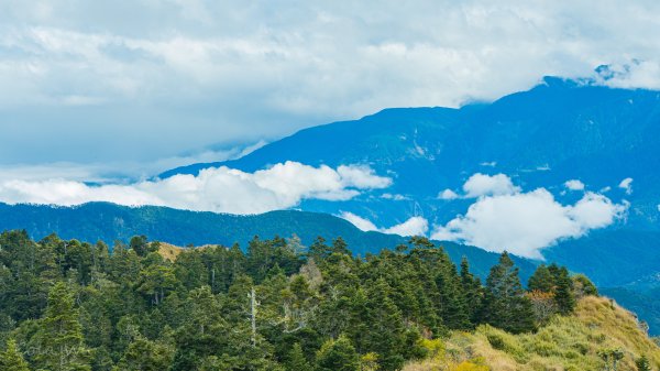 雪山東峰壯麗的山景&動植物1521804