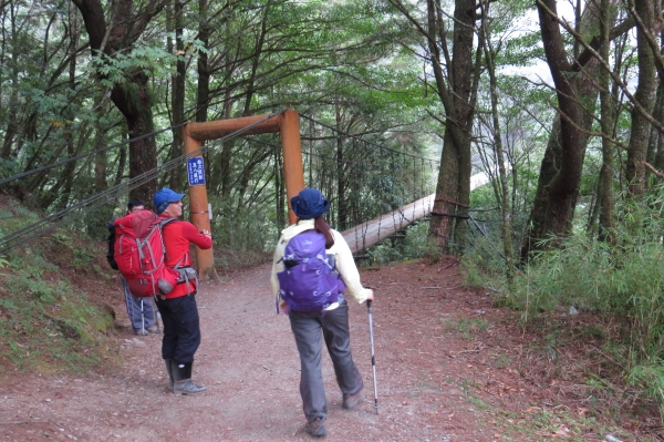 【步道小旅行】登山新手之能高越13K.奇萊南峰日出雲海4205