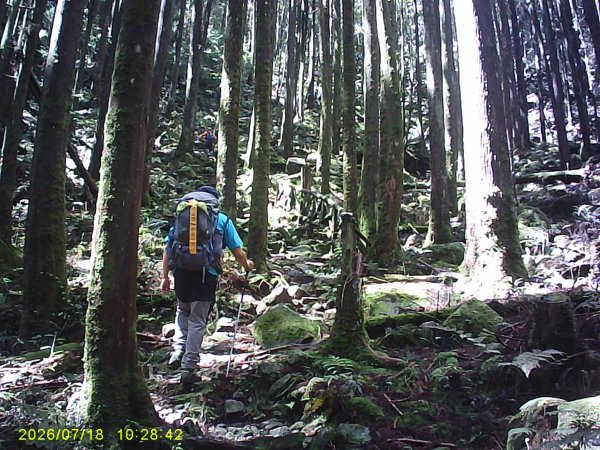 大雪山林道橫嶺山步道、橫嶺山、沙蓮山、笛吹山O繞3090391