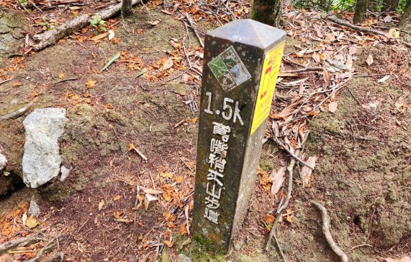 【中級山縱走】最美中級山，鳶嘴西稜縱走（鳶嘴山，醜崠山，長壽山）2741390