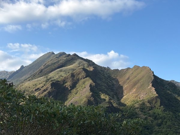 新北 瑞芳 黃金八稜七稜O型2956136