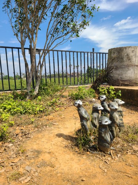 超級曬的一段小O2724210