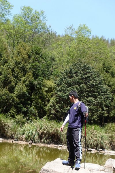 1090413中之關天池-初嚐梅子雞940911