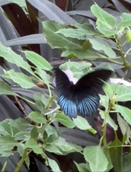 隴頂古道走萬里長城四百坎2672468