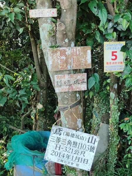 微笑山線：【鳶山山系】鳶山彩壁段2855454