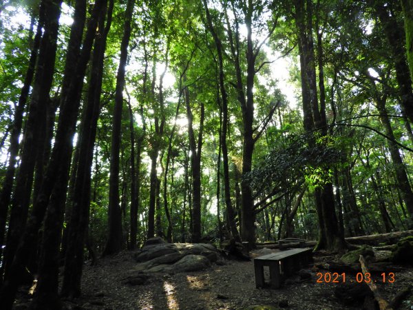 苗栗 南庄 加里山、哈堪尼山1304154