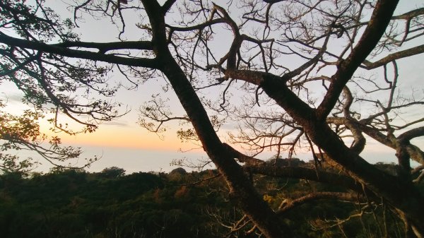 柴山夜爬看夕陽2993433