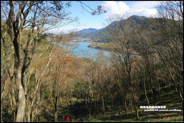 漫步石門水庫楓林步道1230221