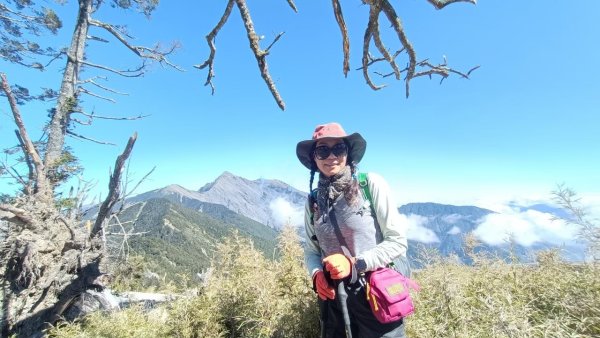 北二段之 甘薯無明2611895