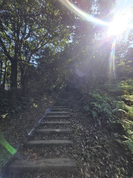 姜子寮山的360度壯麗山景2702087