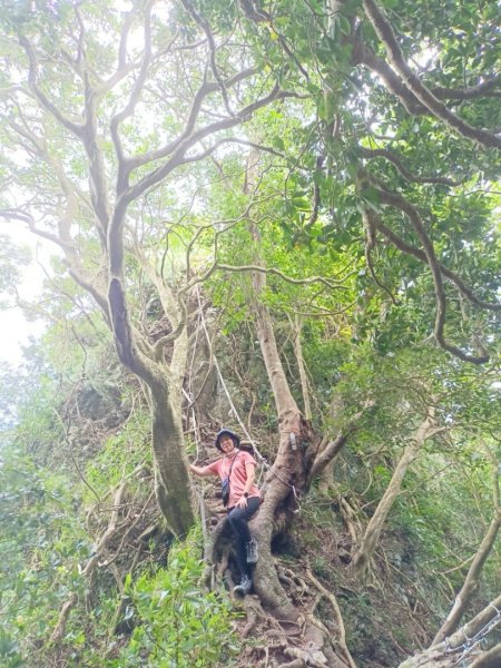 凌雲寺-觀音山-八里渡船頭-202508032866418