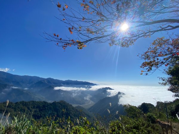 馬那邦山.細道邦山【你 不能預判山的變幻莫測】2401462