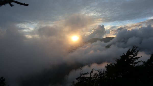 奇萊主山登山健行趣(百岳20號)2290036