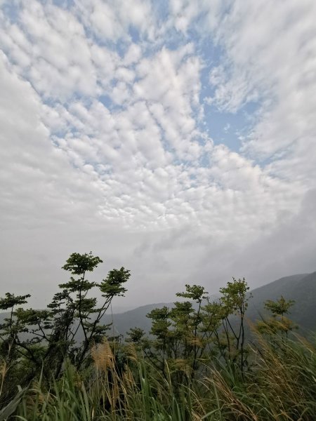 臺北大縱走4~6段 - 意外收穫的夜景 875382