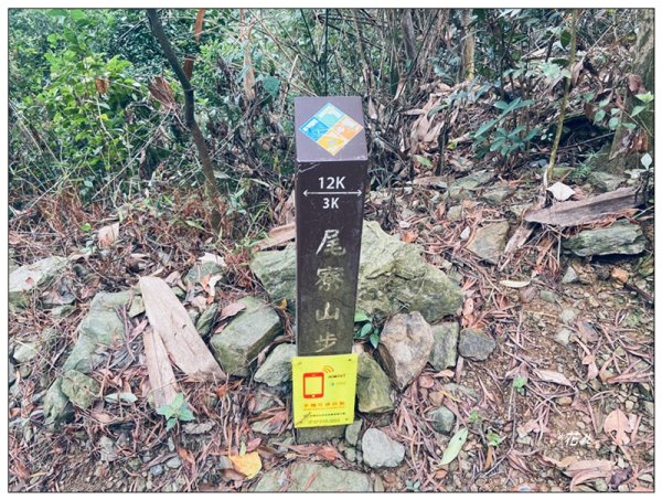 尾寮山、前峰、西峰、西北峰、主峰13基石連走3031944
