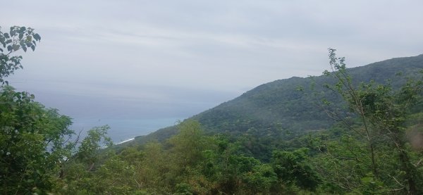 2025 4/5 加奈美山2754461