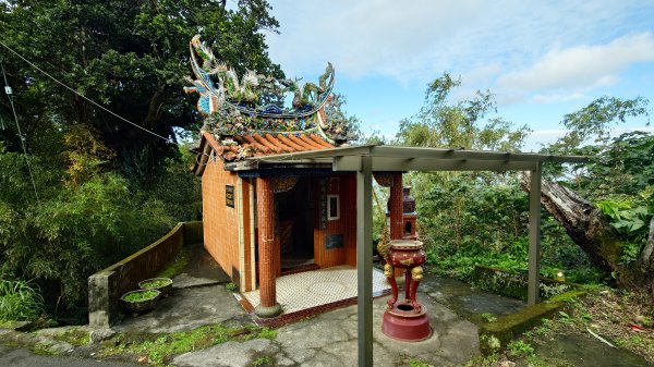 20260125 陽明山前後山健行(無極天元宮~山仔頂步道.向天池.向天山.面天山.二子坪)2997931
