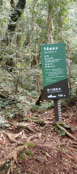 拉拉山國家森林遊樂區2752239