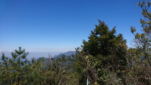 106.04.03自忠山、水山東峰、北霞山111305