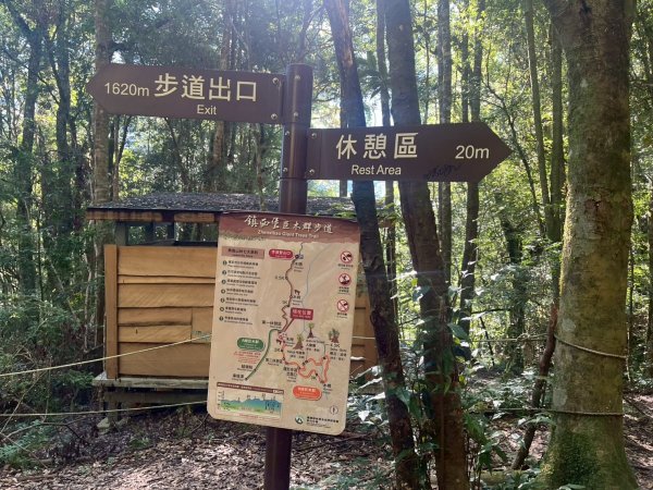 新竹 尖石 鎮西堡巨木群步道A線巨木群 毒龍潭2884737