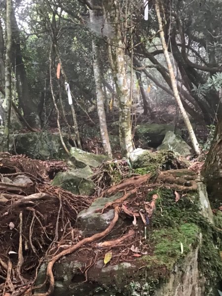 阿冷山、阿冷山前峰、阿冷山北峰685202