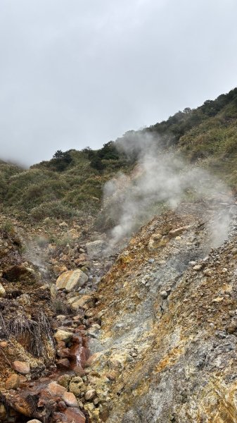 漫遊陽明山2951927