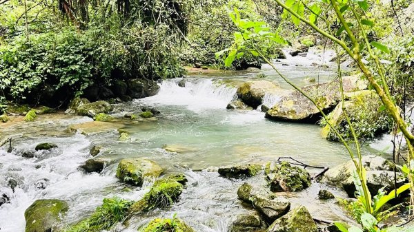 🌈3/16（日）內灣馬胎+南坪古道~內灣老街與合興愛情車站 FB：熊熊趴爬走🌈2737830