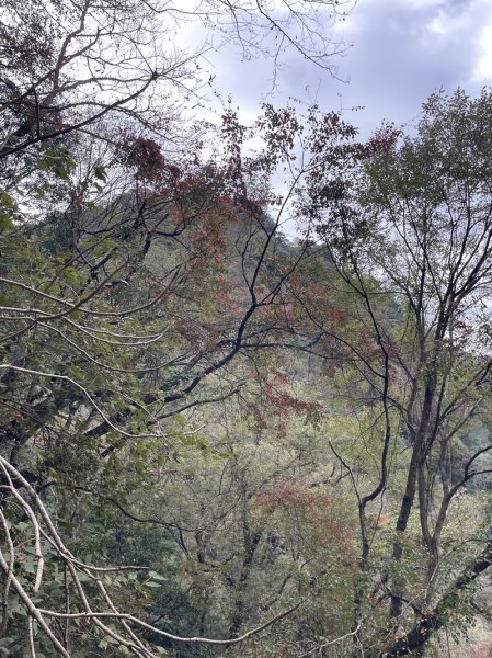 霞喀羅古道2676919