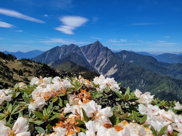 南湖大山＋群峰七座（百岳第39～45座）1391781