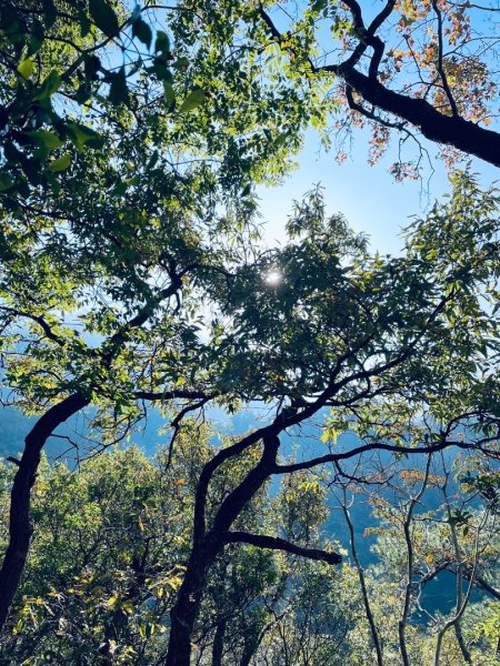 20241230 台中谷關捎來步道2739162