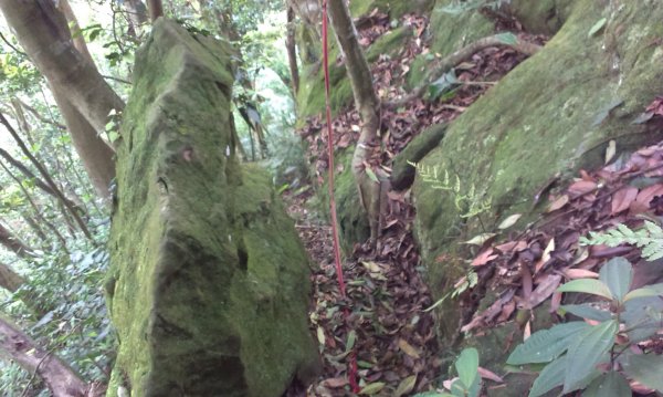 蓬萊仙島_石牛山_油井窩山O型201404301959953