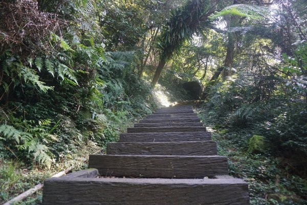 臺北大縱走7：幽徑踏青探仙神1255211